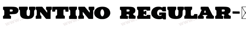 Puntino Regular字体转换